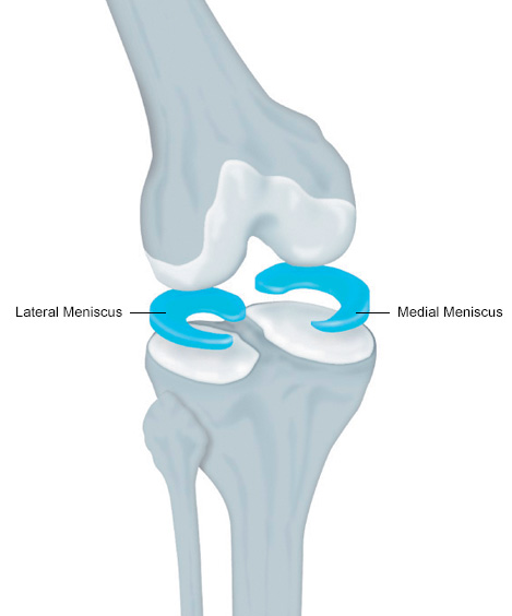 meniscus